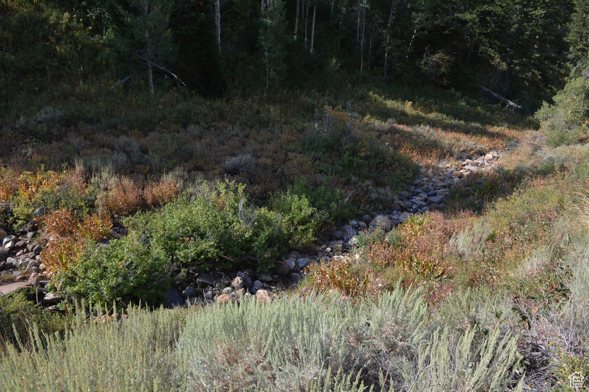 Land, Huntsville, Utah image 13