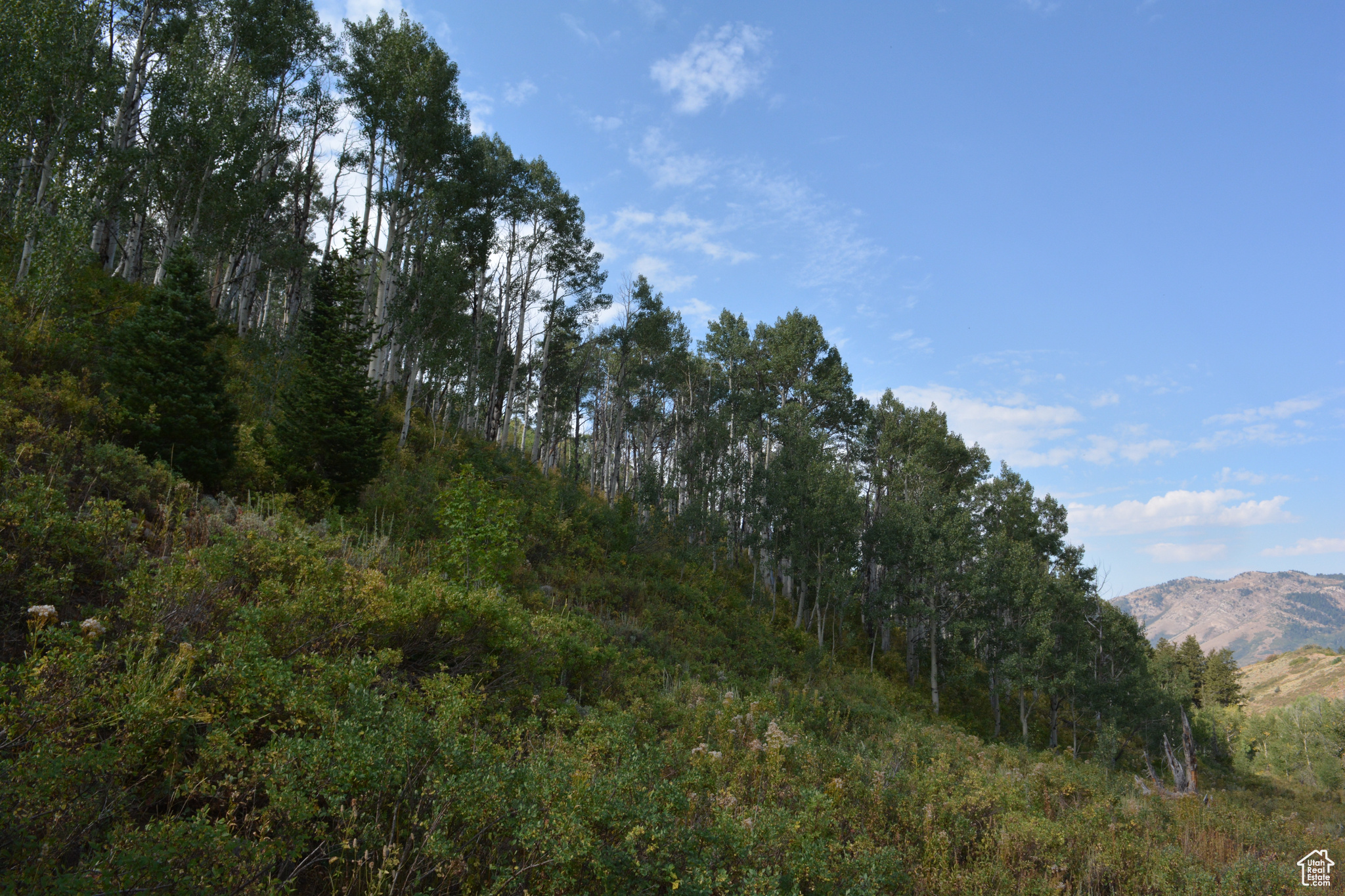 Land, Huntsville, Utah image 8