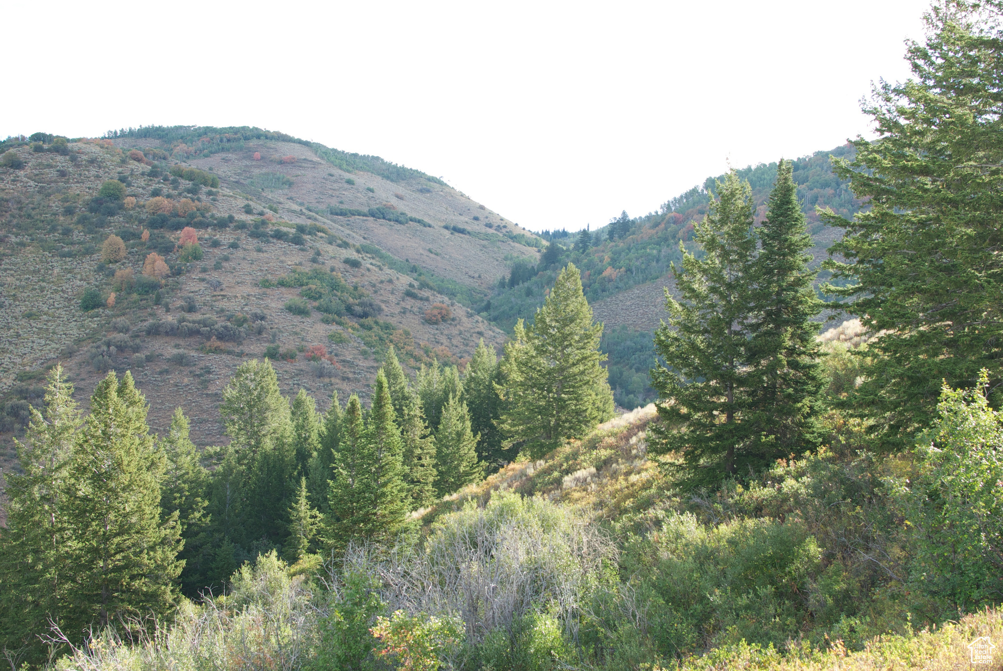 Land, Huntsville, Utah image 17