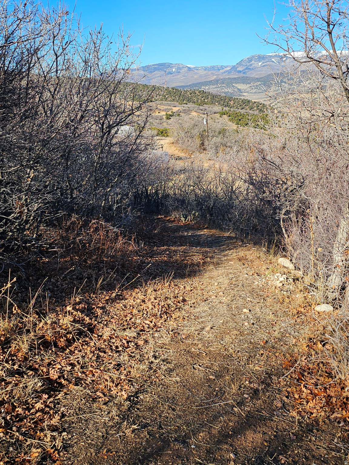 MT TABBY SPRINGS - Residential