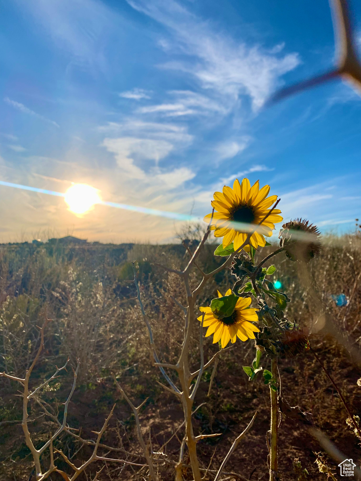 Blanding, Utah 84511, United States, ,Land,Active,63600
