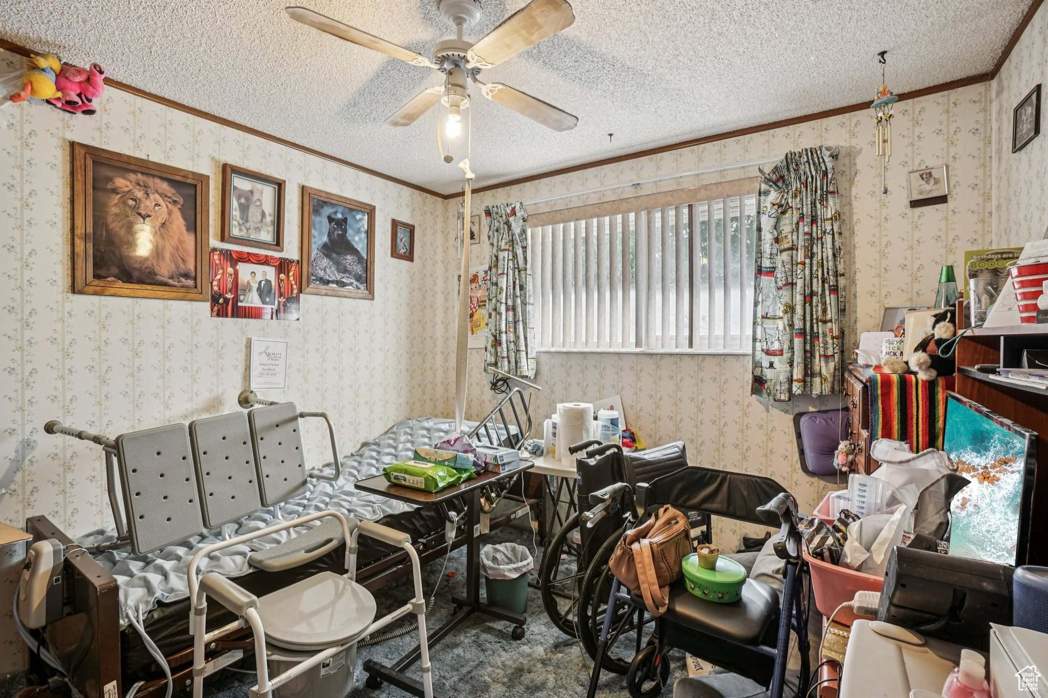 HECTOR HEIGHTS #2 SUB - Residential