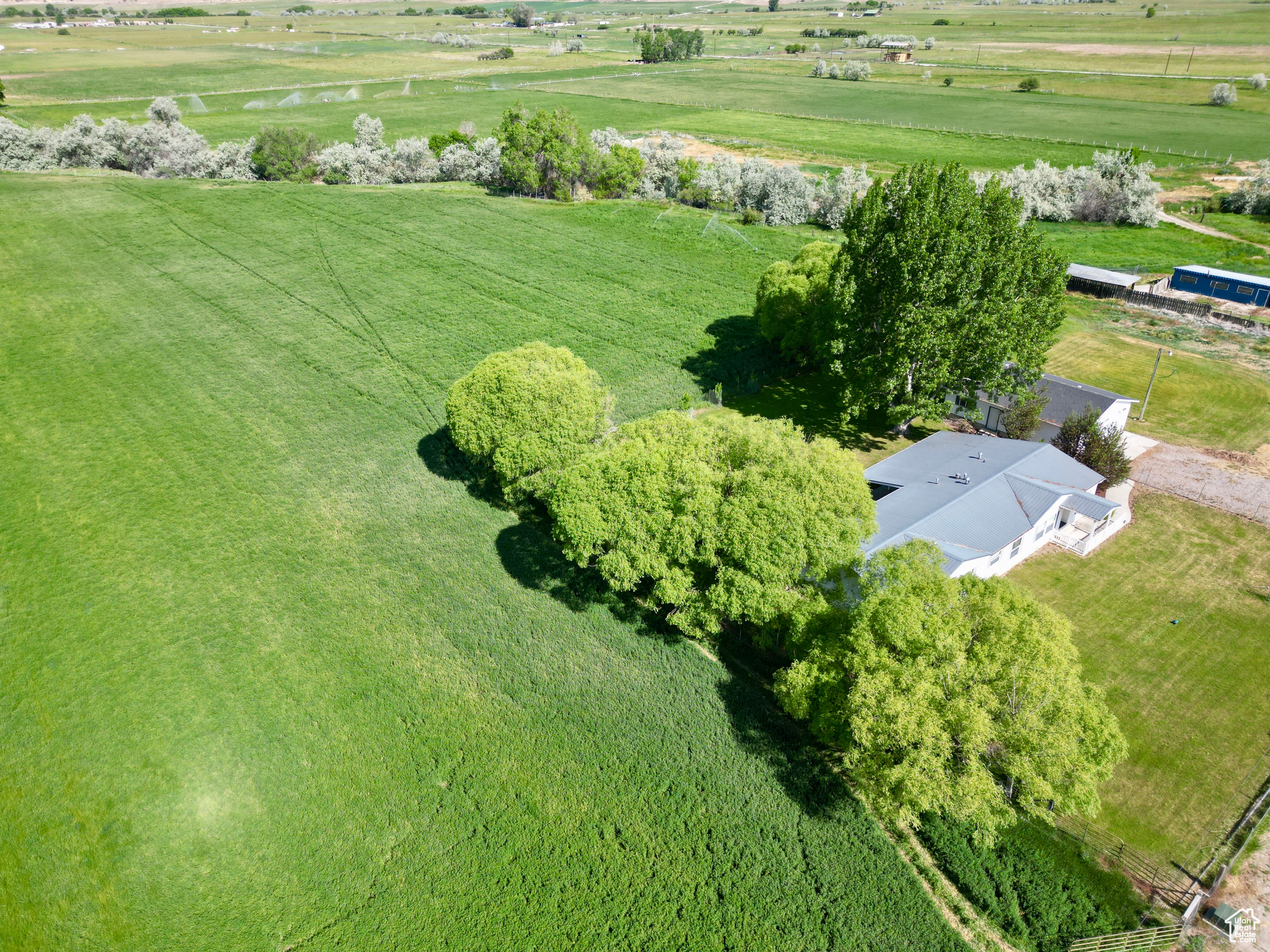 19025 N 8750, Mt Pleasant, Utah image 3