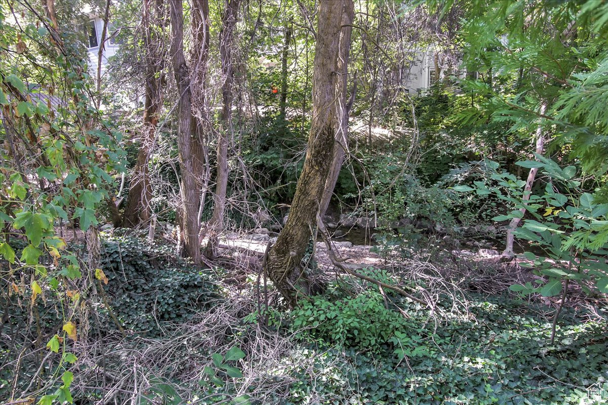 FERNWOOD HOLLOW - Residential
