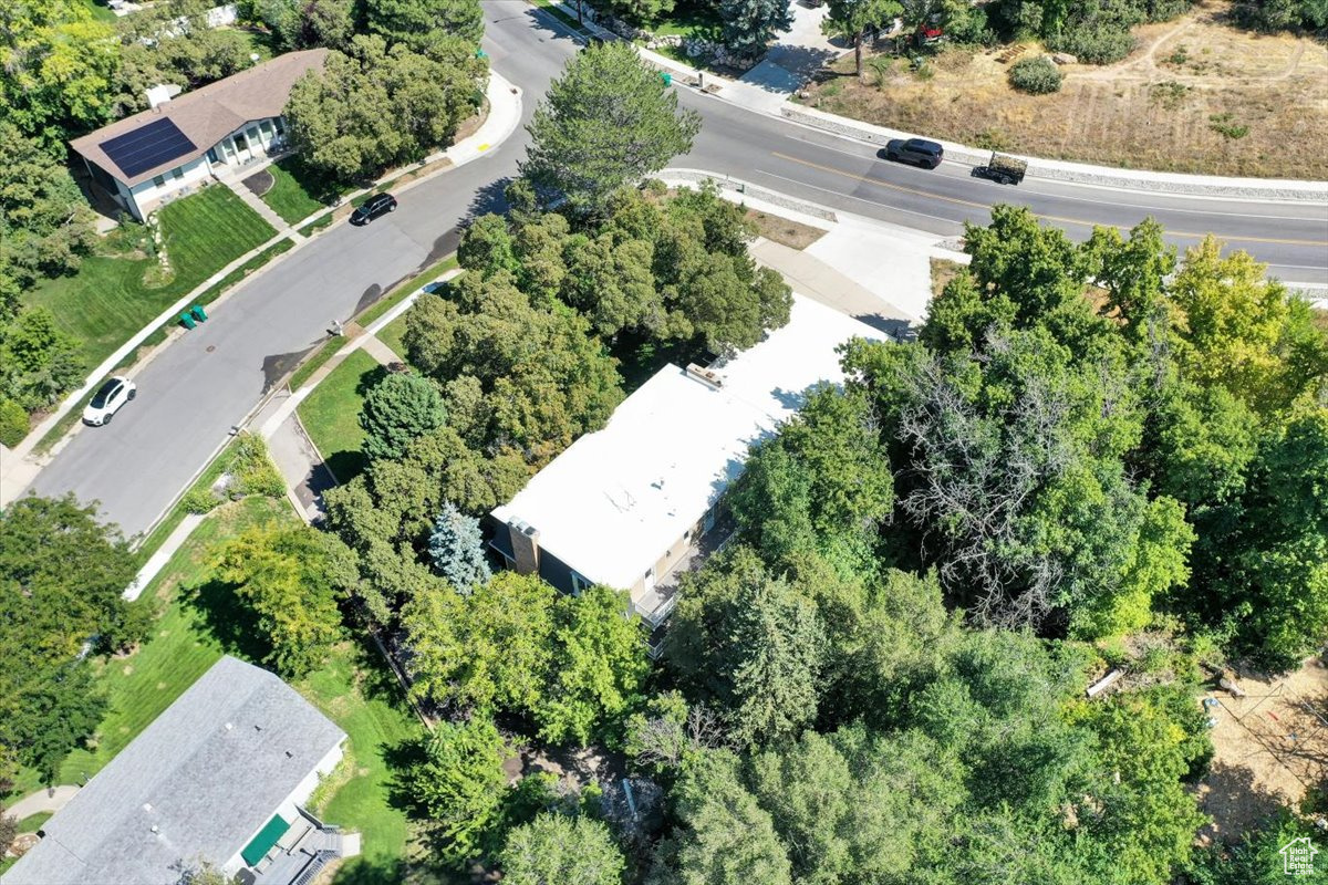 FERNWOOD HOLLOW - Residential