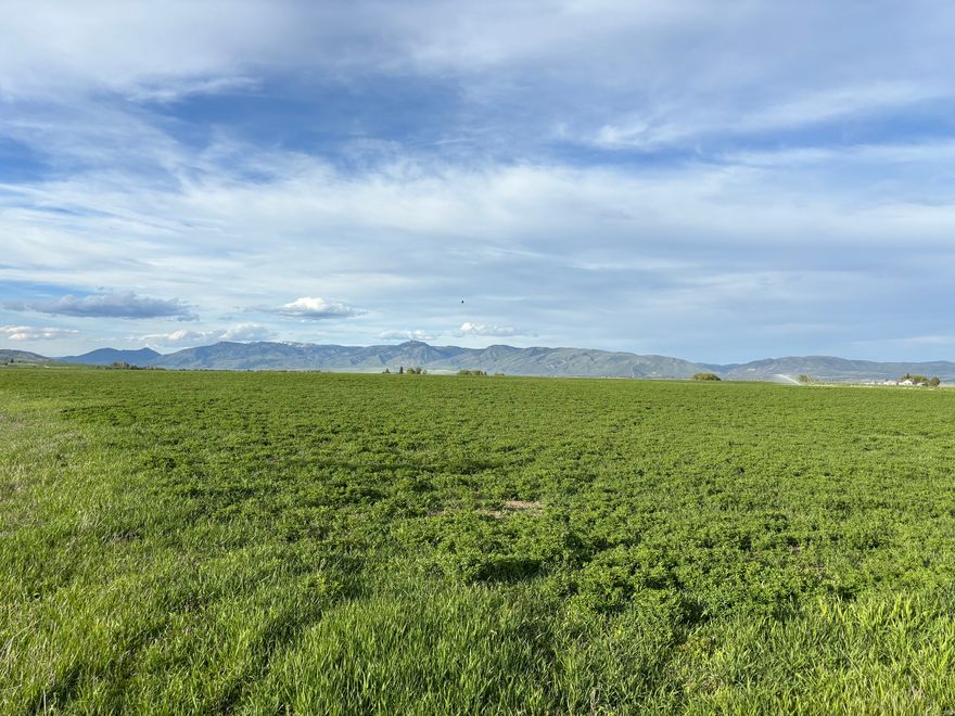 Lot 3: Build Your Dream Retreat - Rare Acreage in Prime Location! Lots 1 and 2 have sold, so get in on these seriously affordable properties now! Improved approach from Lanark Rd is finished, power stubbed, and fiber optic conduit is in! One of four remaining lots available by Baer Acre Farms, these flat, spacious lots are nestled in the heart of outdoor recreation. Secluded enough for peace and quiet, yet just minutes from the charm of Paris, the amenities of Montpelier, and only 25 minutes from the excitement of Garden City. Plus, you're just 15 minutes from Bear Lake's North Beach, offering easy access to its stunning turquoise waters, boating, and lakeside relaxation. Large, fairly-priced lots in this prime recreational area are hard to come by, making this a unique opportunity to build your ideal second home, year-round primary residence, hobby farm, or private retreat. With room to spread out, this property offers both seclusion and convenience, giving you the best of both worlds. UNMATCHED LOCATION AND YEAR-ROUND RECREATION: Just across the street from canyon access, making it easier than ever to explore Little Valley Reservoir, Paris Campground, Paris Ice Caves, and Bloomington Lake. SUMMER ADVENTURES: Boating, fishing, hiking, biking, ATV trails, hunting, and even golfing - all just minutes away. WINTER WONDERLAND: Snowmobiling, sledding, skiing at Beaver Mountain, and the chance to cut down your own Christmas tree in the nearby mountains! Buyer to install well and septic if desired. Each lot passed the required PERC test for septic systems. Additional 12 acre attached parcel behind lots available! Don't miss this rare chance to secure your dream home site in paradise before these limited lots are gone!