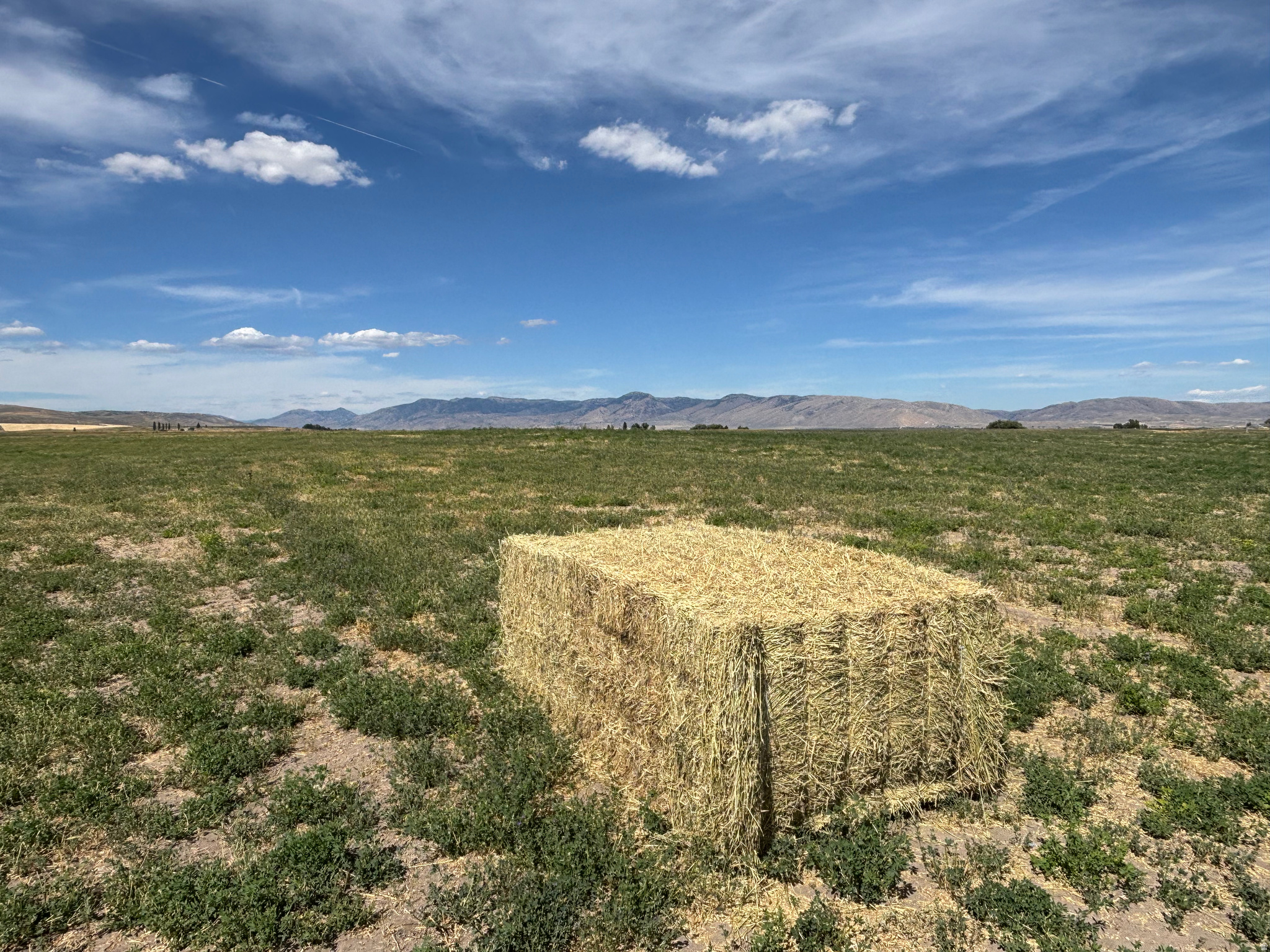 BAER ACRE FARMS SUB - Land