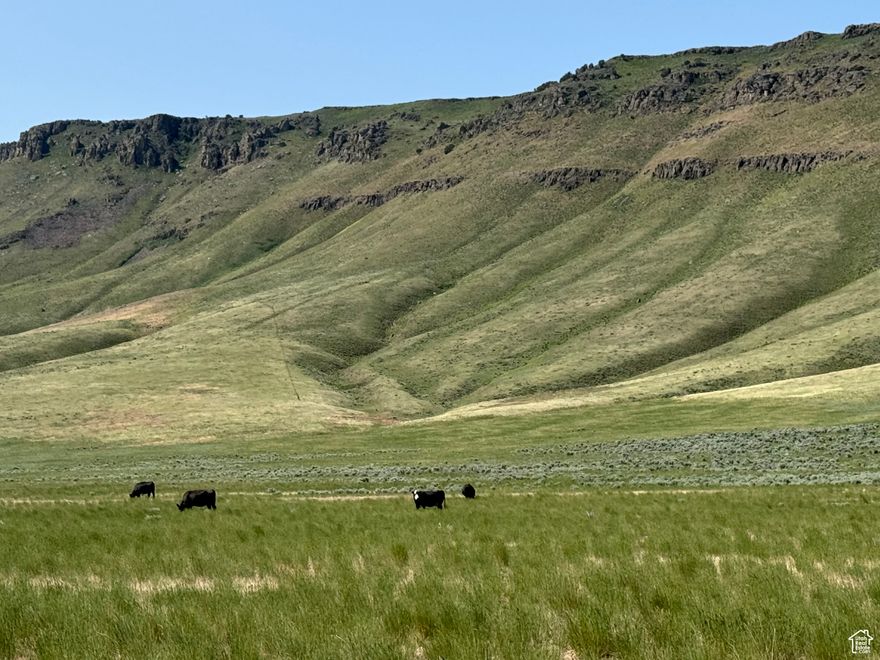 2,756 acres of pasture east of Declo, Idaho.  The property runs north to south-east along at the base of the Cotterel Mountains, is conveniently accessed from Highway 81 and minutes from Interstate 84.  Fully fenced and cross fenced with stock watering infrastructure servicing the bulk of the property.  A majority of the property's boundary abuts BLM and State land.  Additional details, including information on water rights can be provided by the listing brokers.