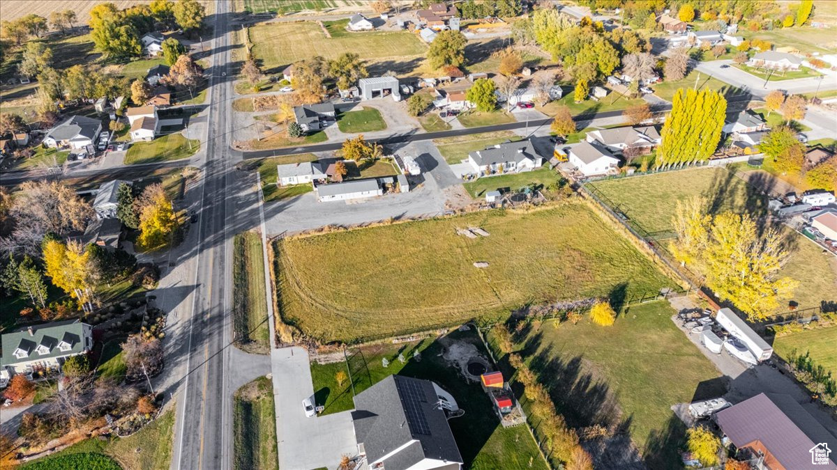 ROSE ANDERSON - Land