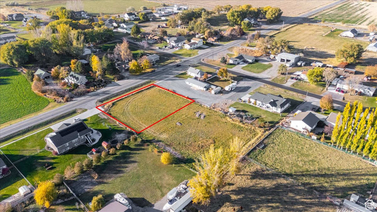 ROSE ANDERSON - Land