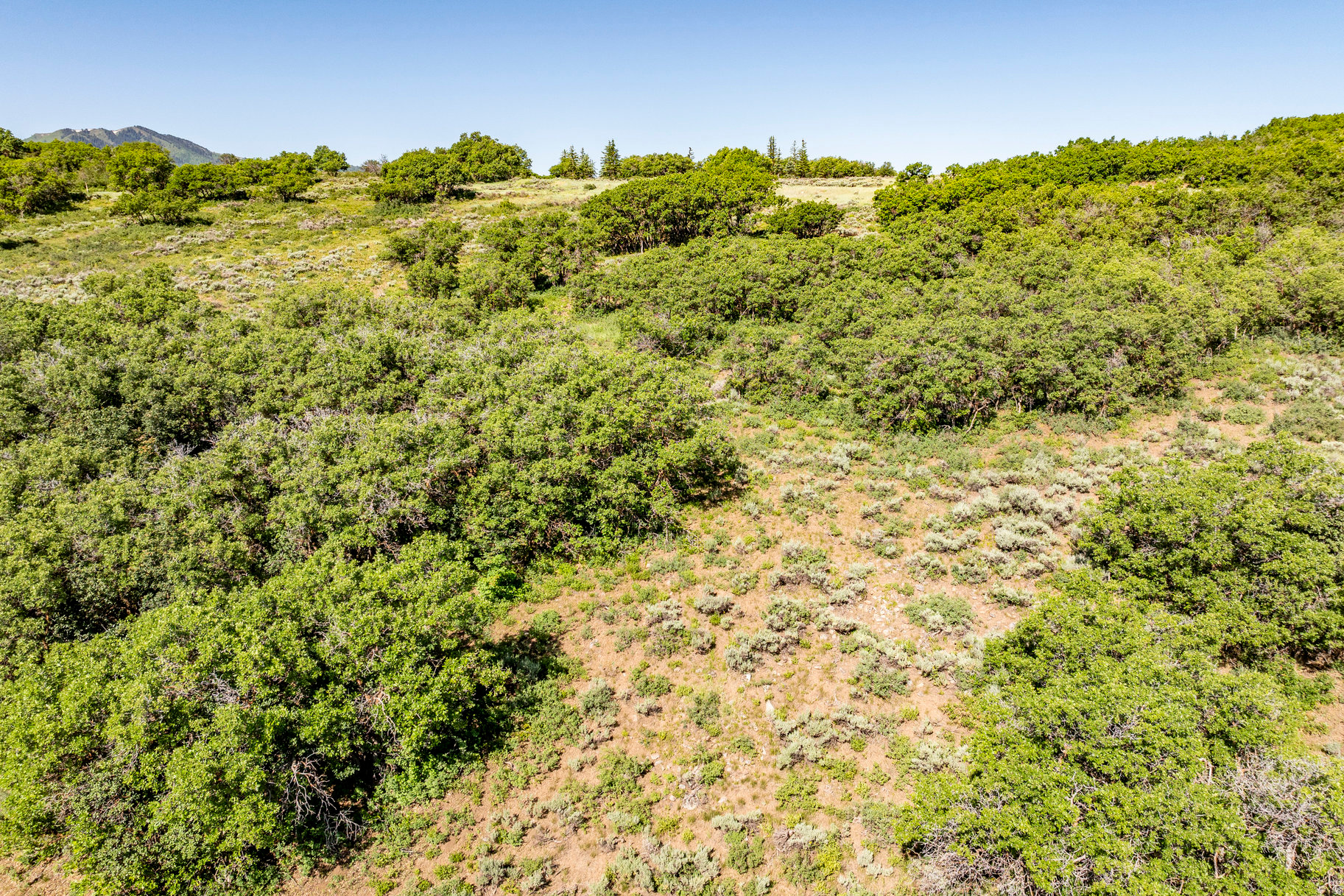 RANCHES AT THE PRESRVE - Land