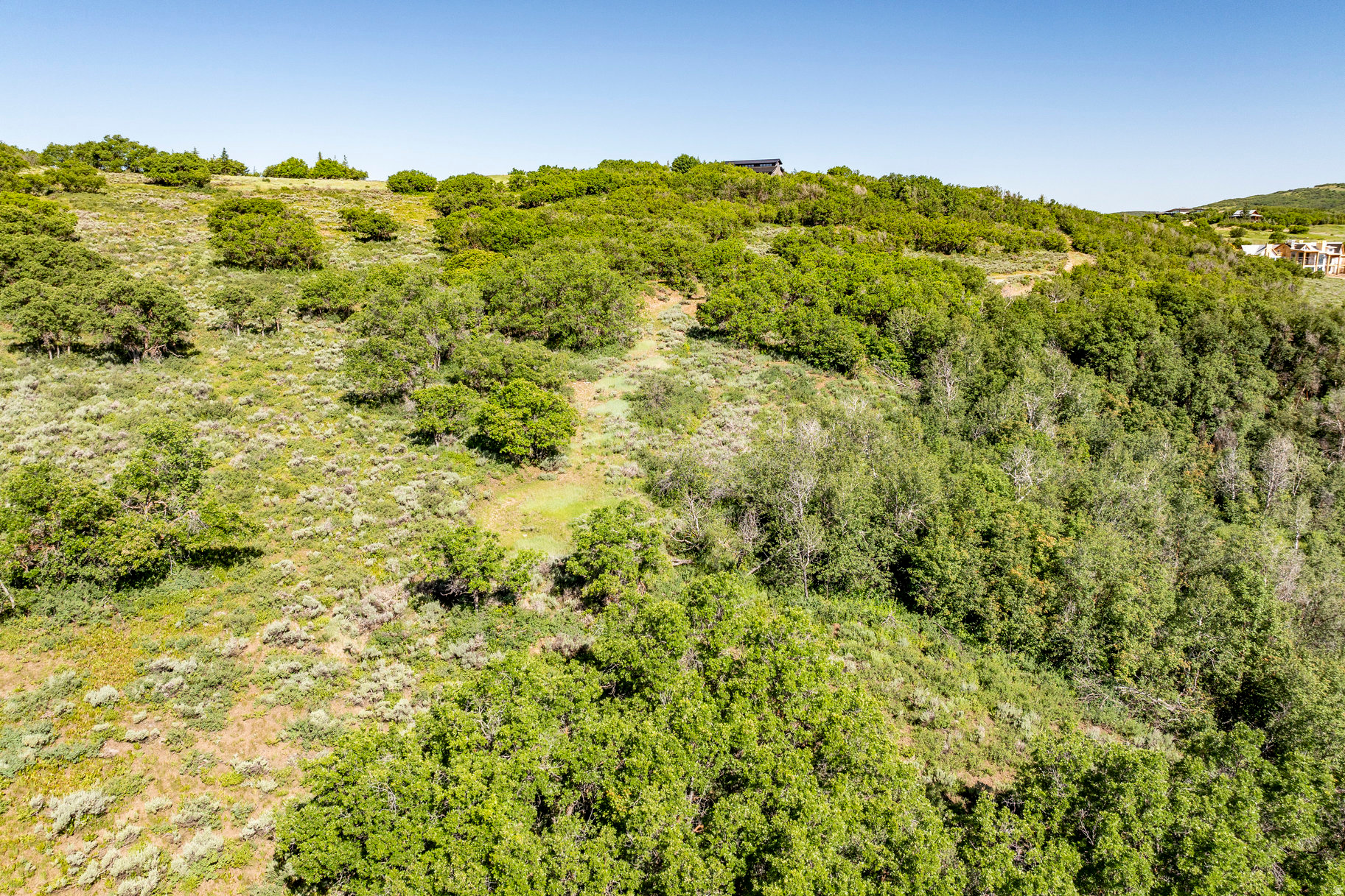 RANCHES AT THE PRESRVE - Land