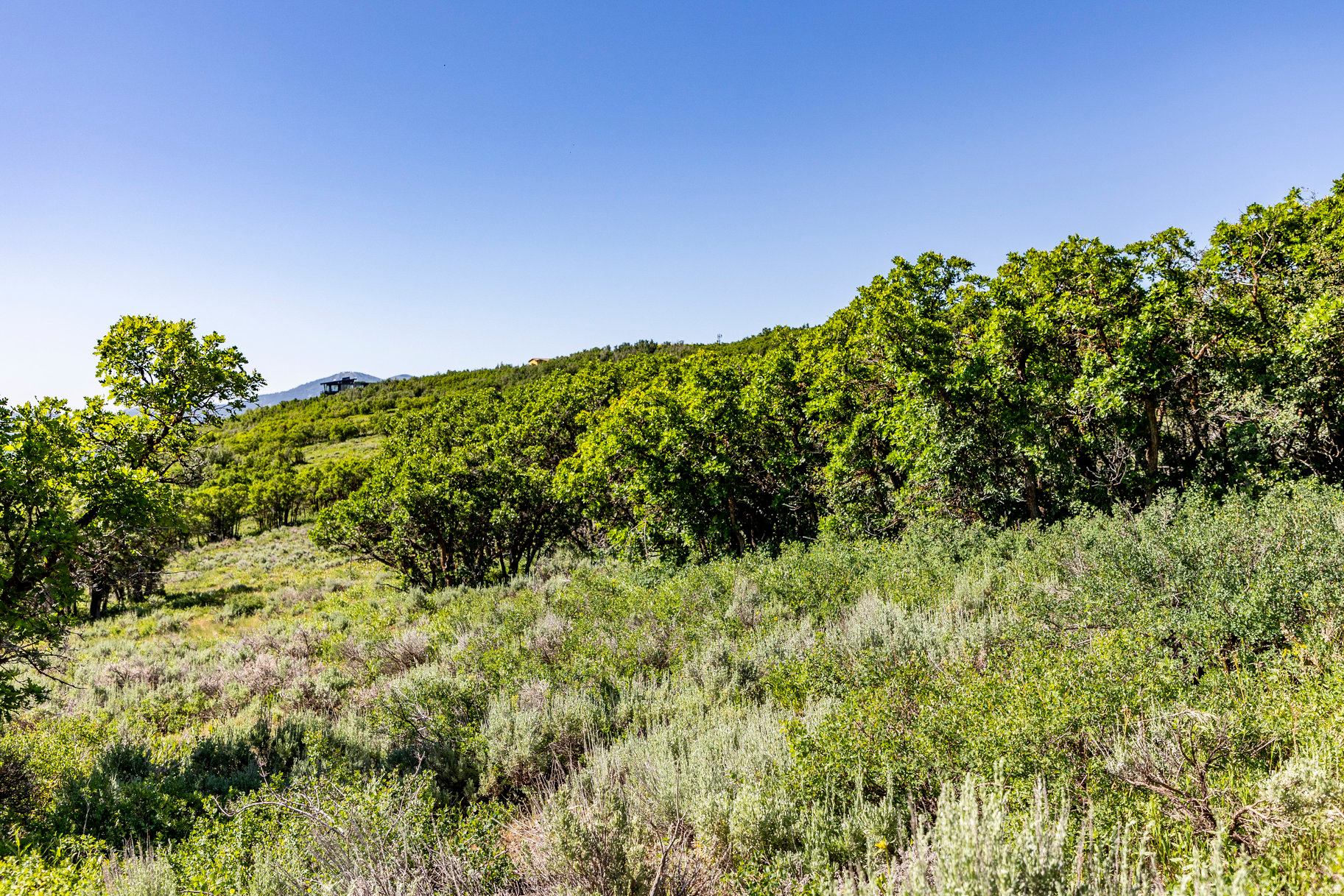 RANCHES AT THE PRESRVE - Land