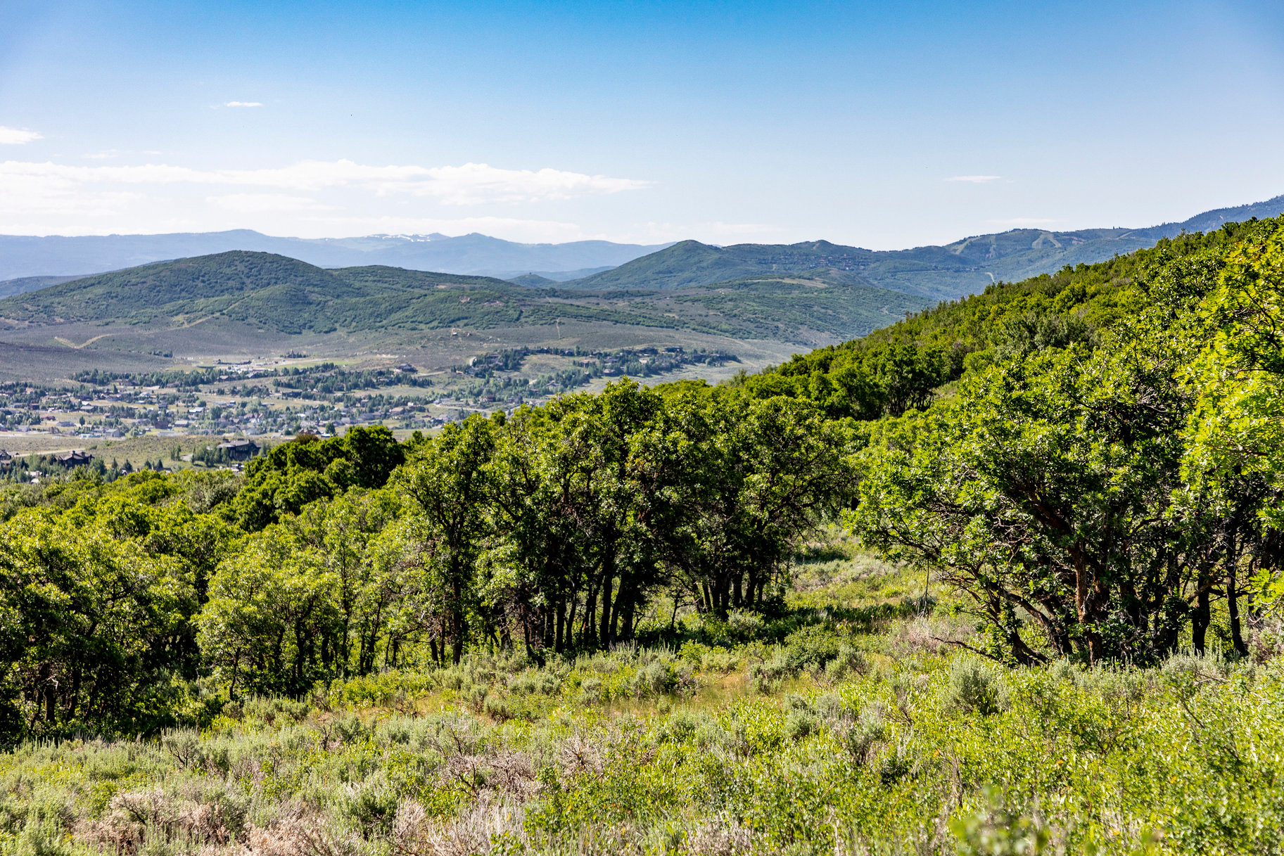 RANCHES AT THE PRESRVE - Land