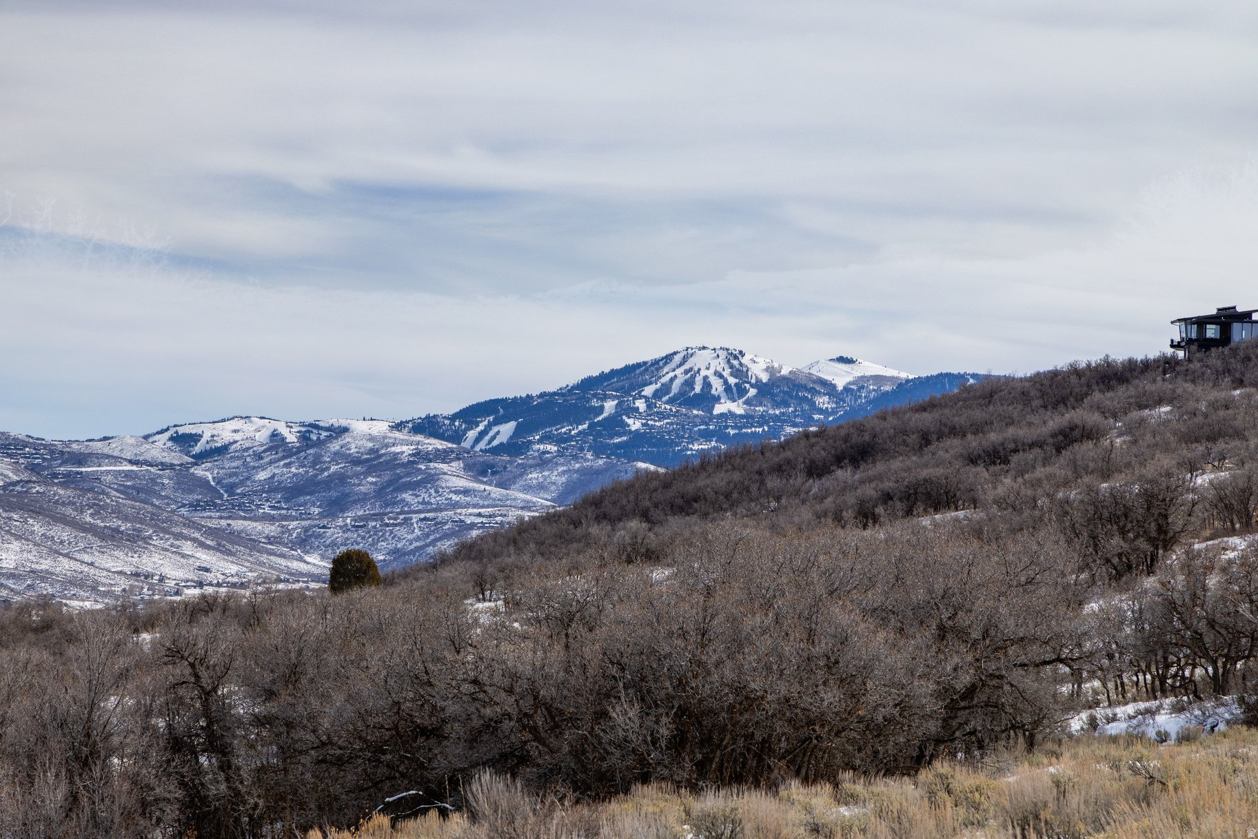 RANCHES AT THE PRESRVE - Land