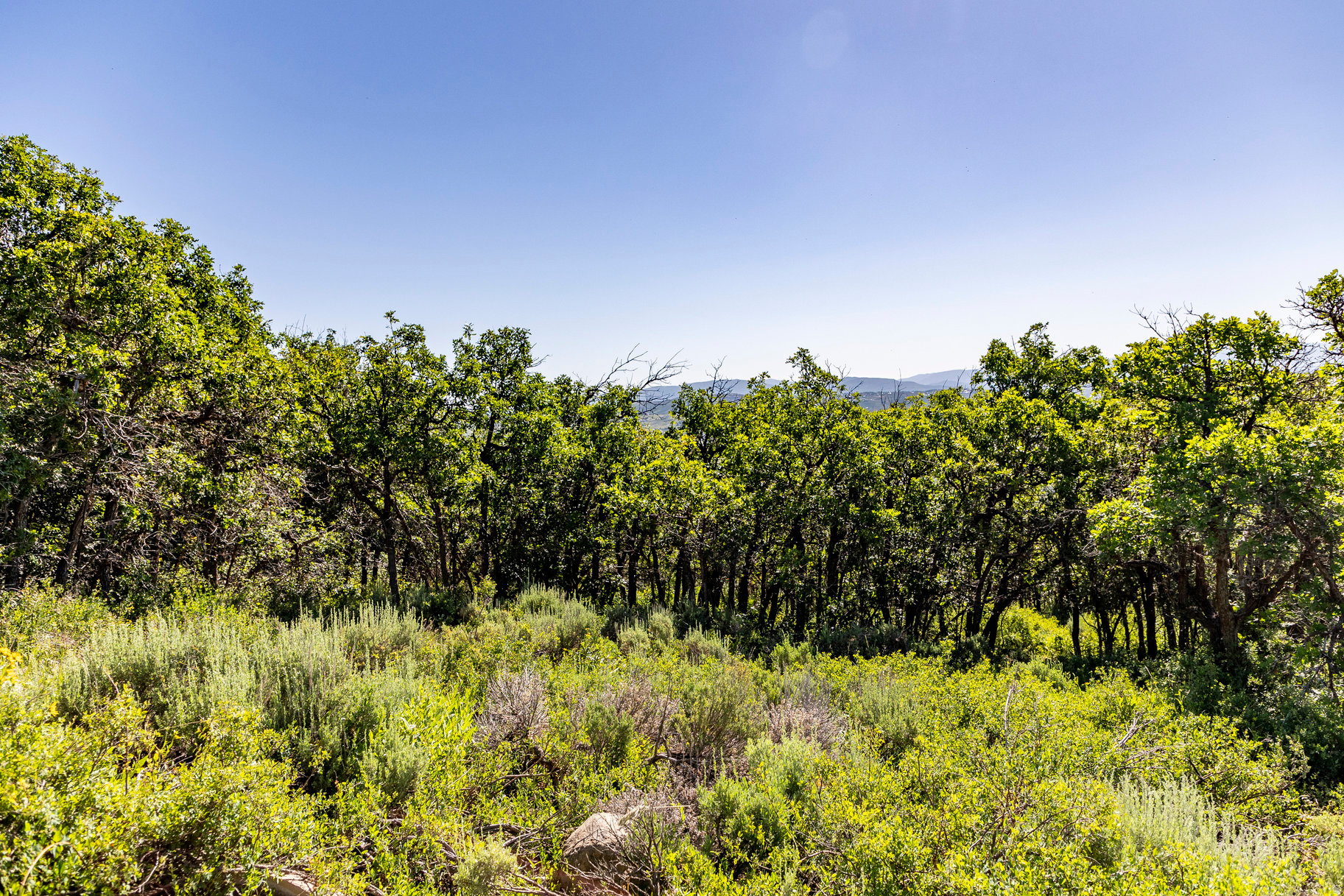 RANCHES AT THE PRESRVE - Land
