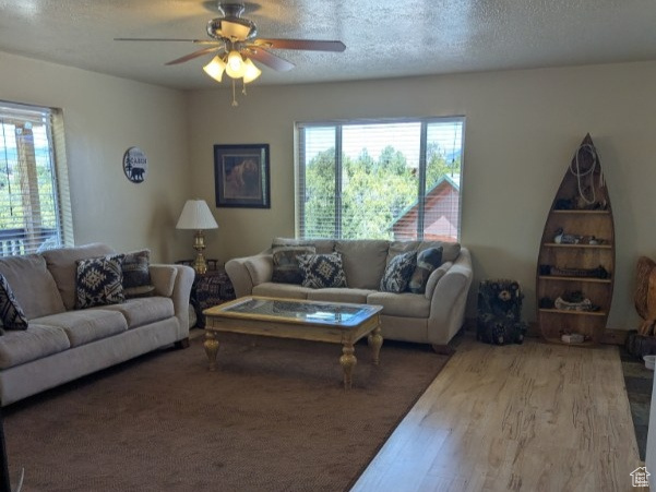 VALLE DEL PADRES - Land