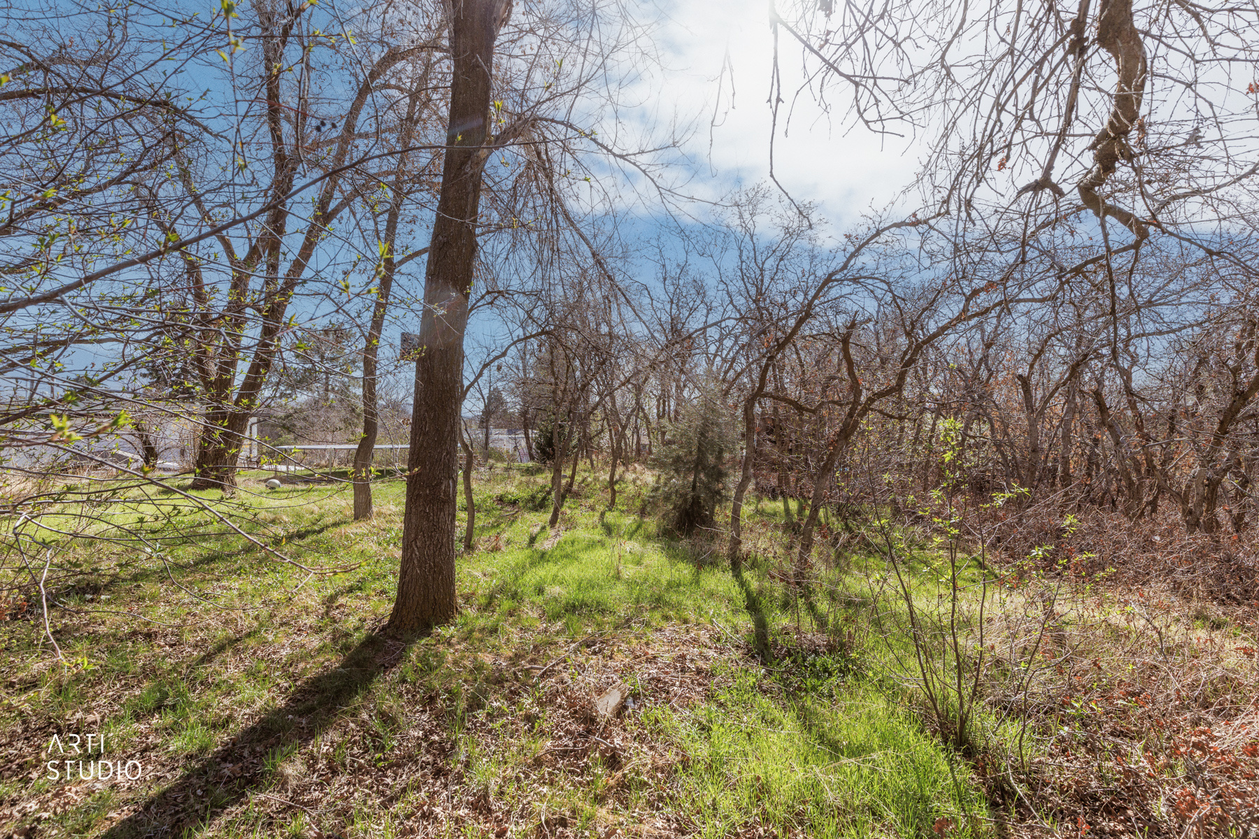 STEFFENSEN HEIGHTS SUB - Residential