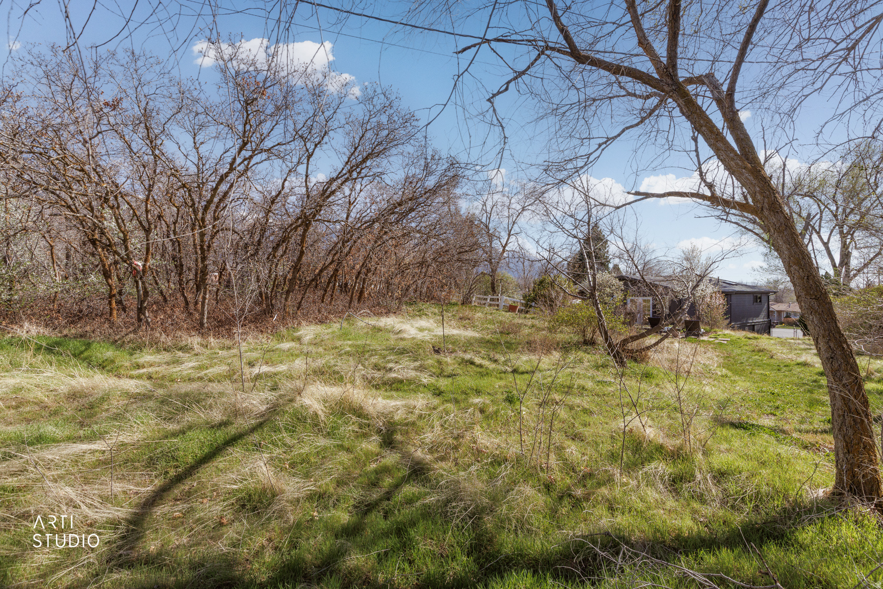 STEFFENSEN HEIGHTS SUB - Residential