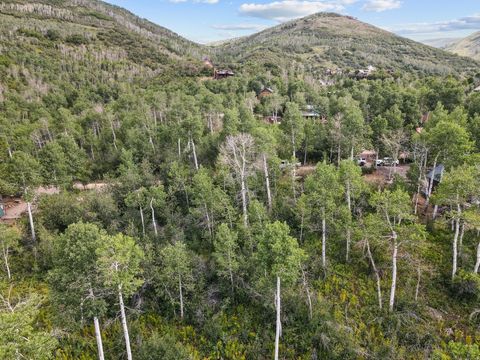 Tiny photo for 126 COMANCHE #126, Oakley, UT 84055 (MLS # 2146412)