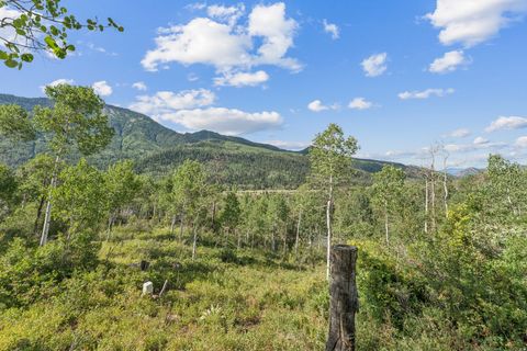 Vacant Land For Sale - 126 Comanche #126<br/> Oakley, UT 84055