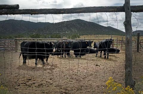 Tiny photo for 23886 N 6450 E, Cedar City, UT 84720 (MLS # 2130547)