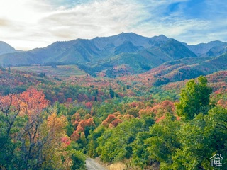 6909 E Spring Mountain Dr, Springville, Utah image 2