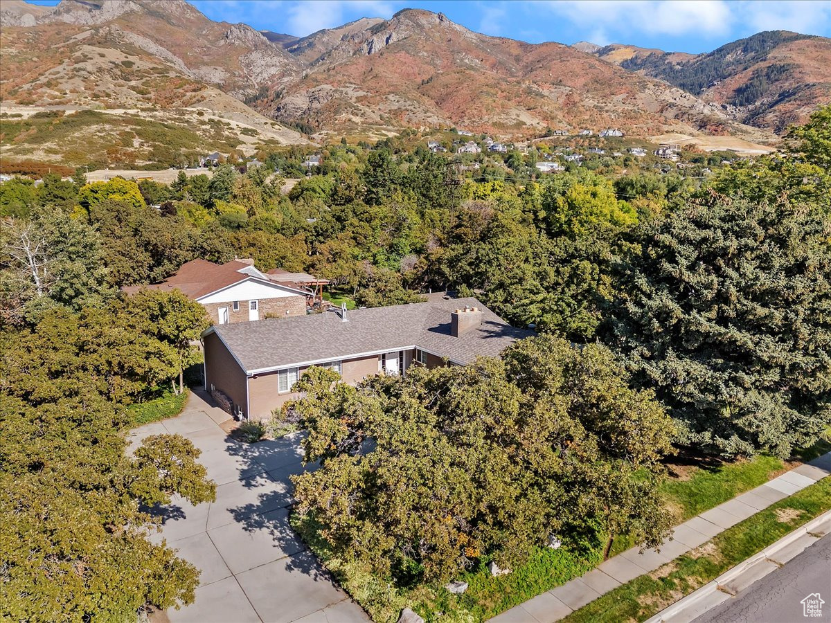 FERNWOOD HOLLOW - Residential
