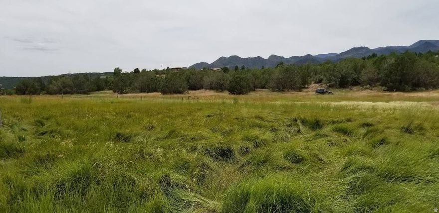 Don't miss this incredible 5+-acre lot in New Harmony's Kolob Ranch. It has an incredible natural pasture for horses, or cows. It has an elevated building pad with incredible 360 views. All Utilities are at the lot line. This Equestrian community has it all; Animal rights, paved roads, all utilities, one acre share of water in a mutual water company, easy access, conveniently located between St. George and Cedar. It really is one of a kind. Come and take a look.