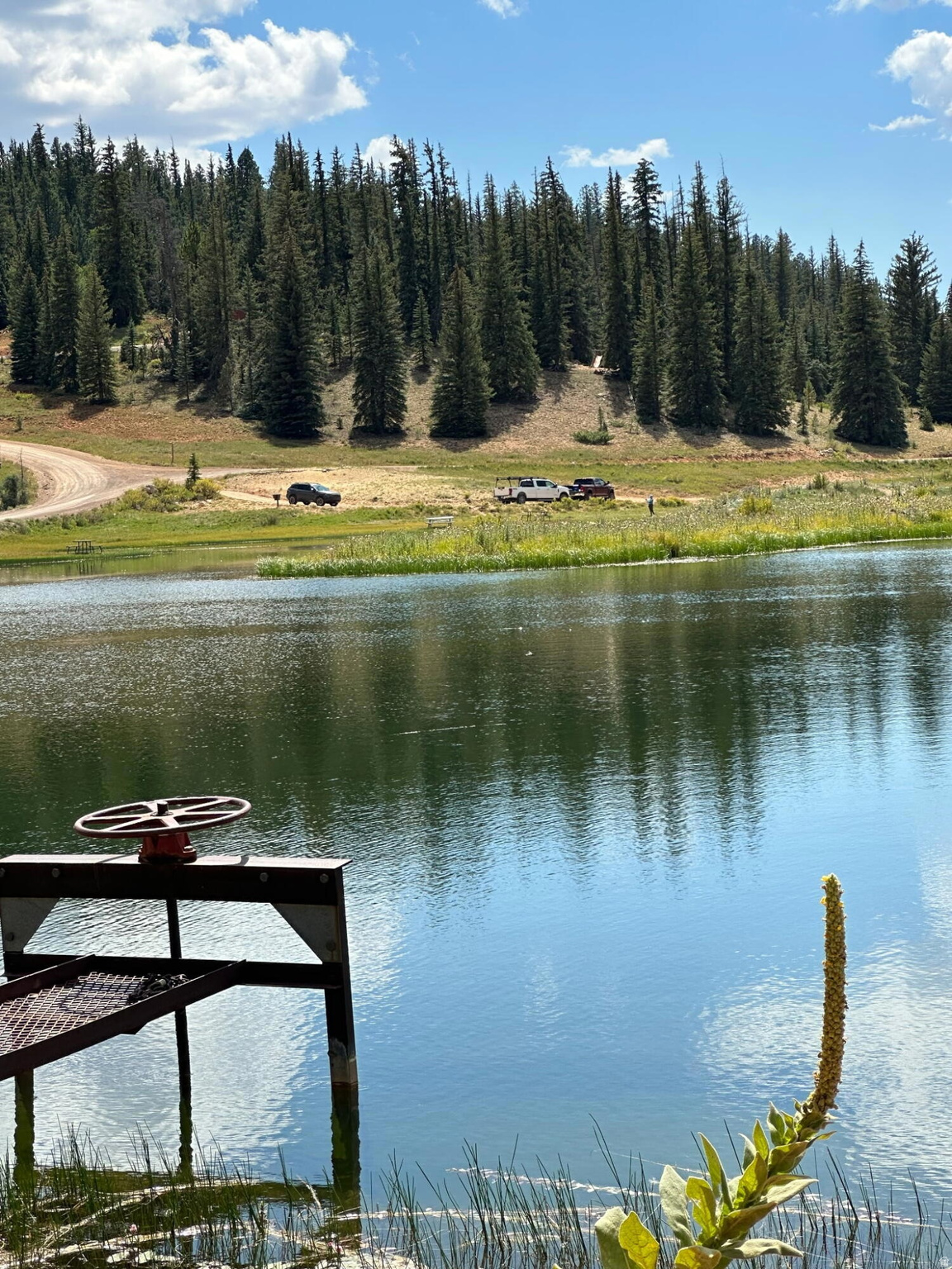 CAL-NEV-ARI EST AMD - Land