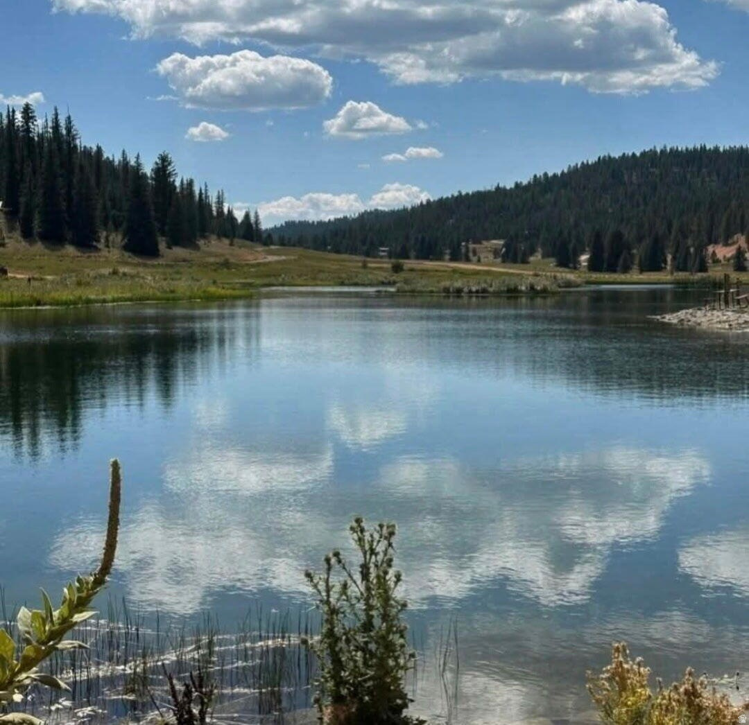 CAL-NEV-ARI EST AMD - Land