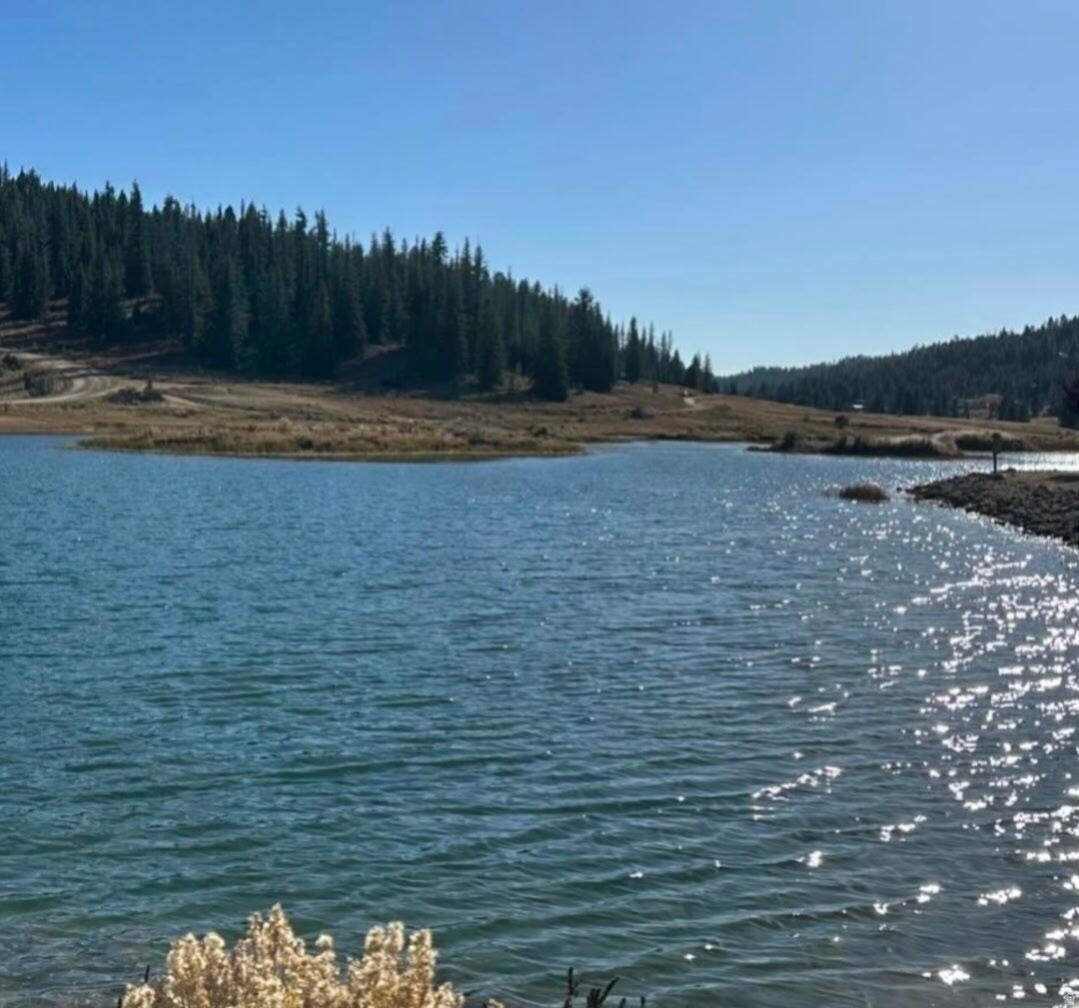 CAL-NEV-ARI EST AMD - Land