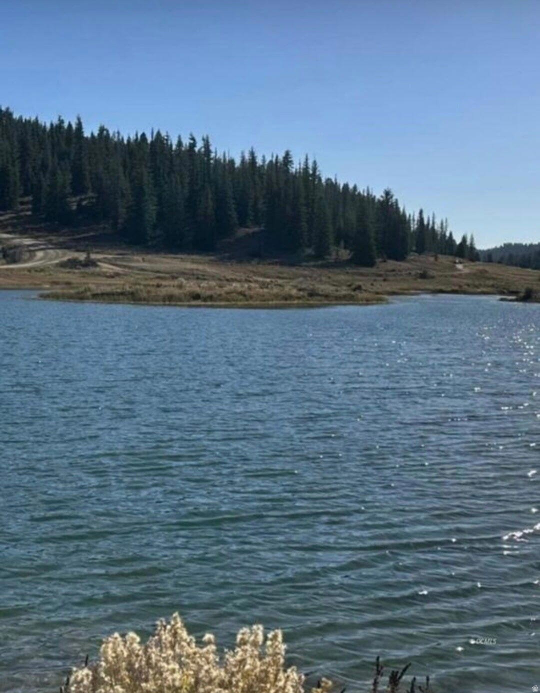 CAL-NEV-ARI EST AMD - Land