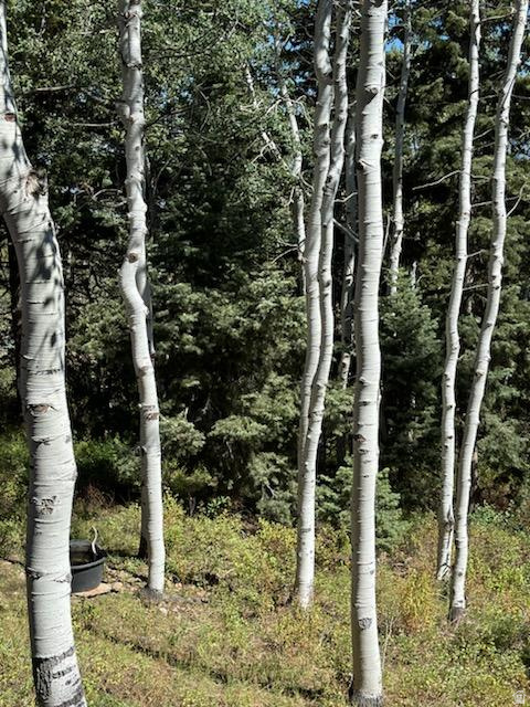 PINE MEADOWS RANCH - Residential