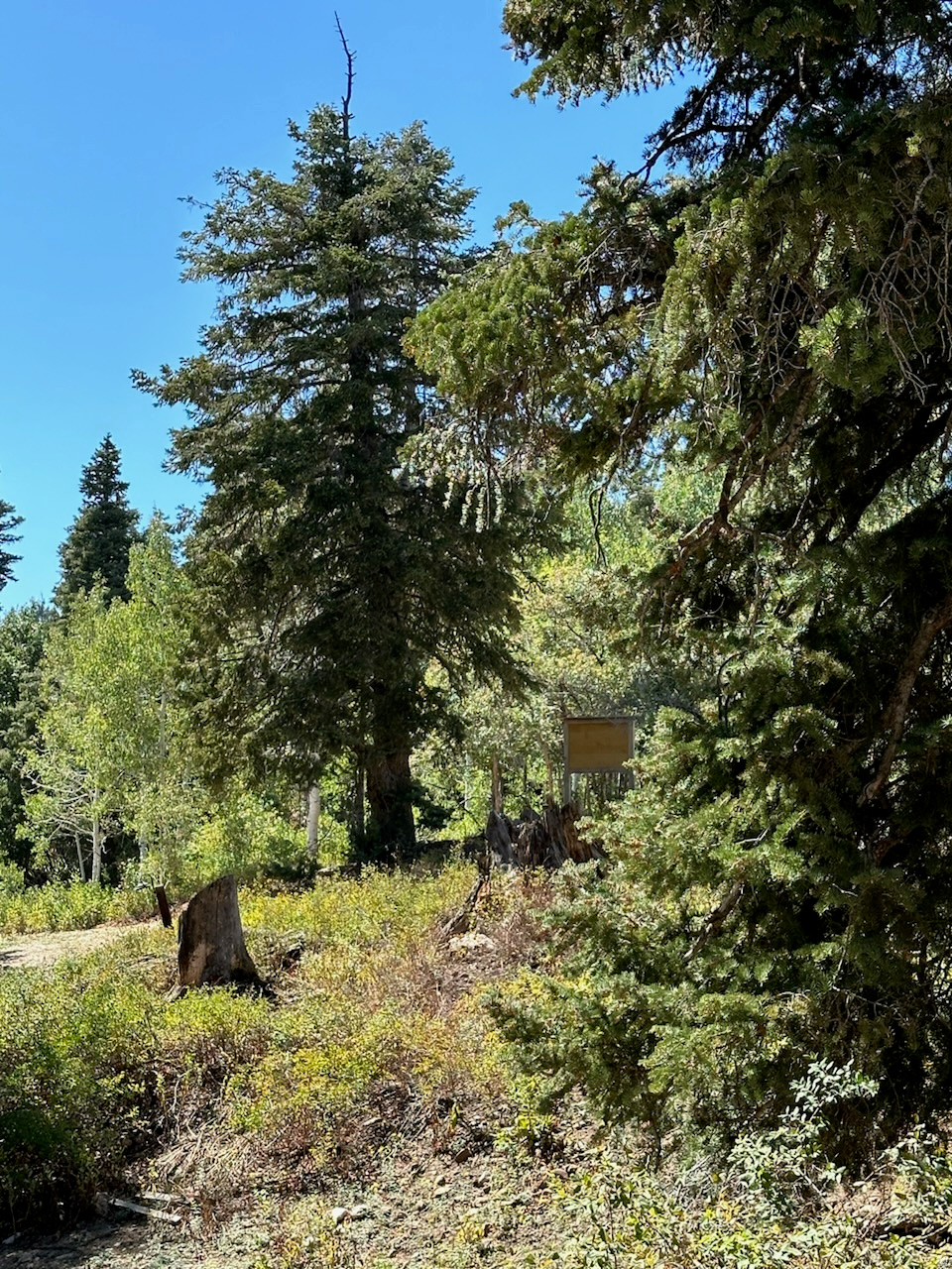 PINE MEADOWS RANCH - Residential