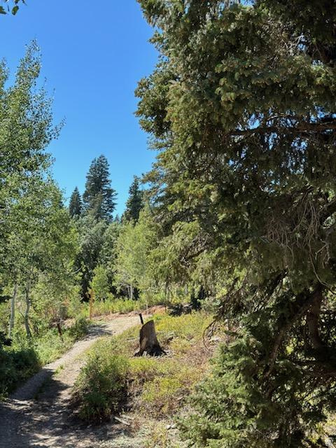 PINE MEADOWS RANCH - Residential