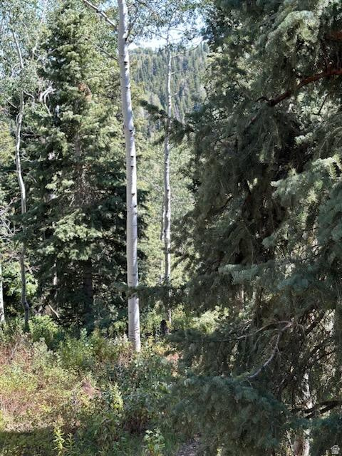 PINE MEADOWS RANCH - Residential