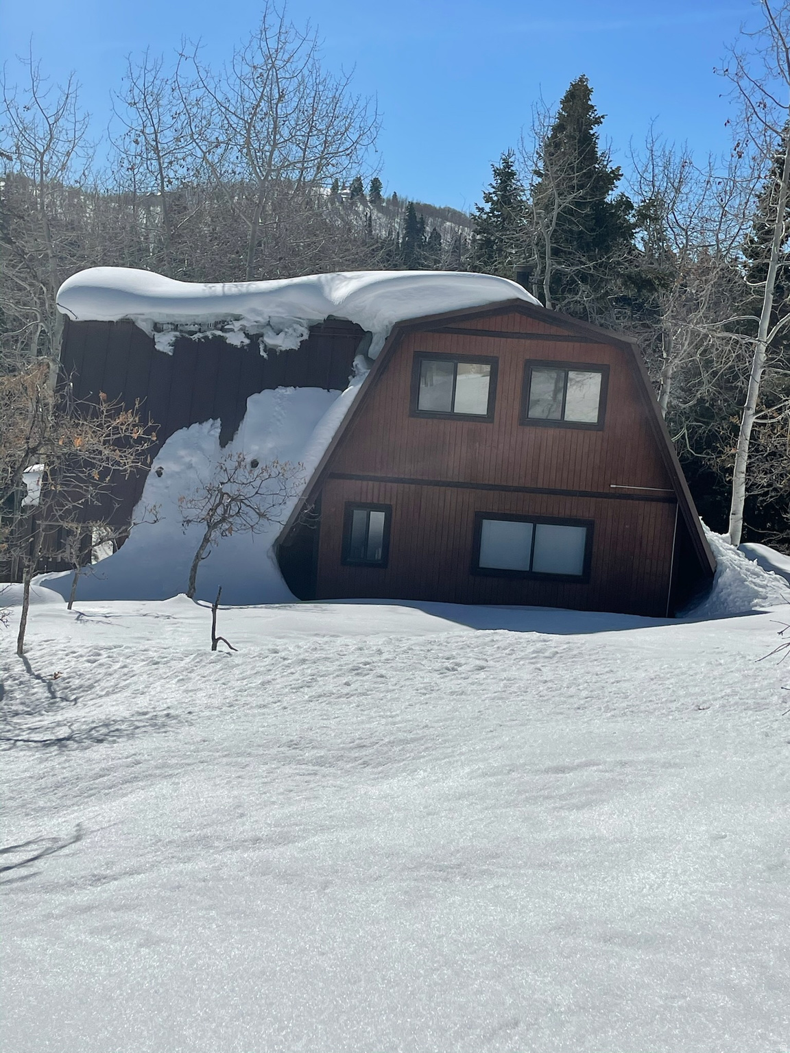 PINE MEADOWS RANCH - Residential