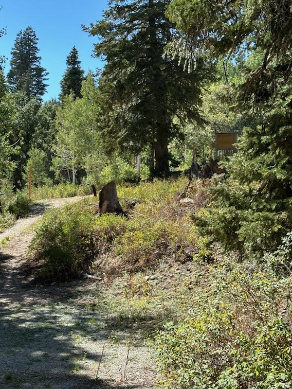 PINE MEADOWS RANCH - Residential