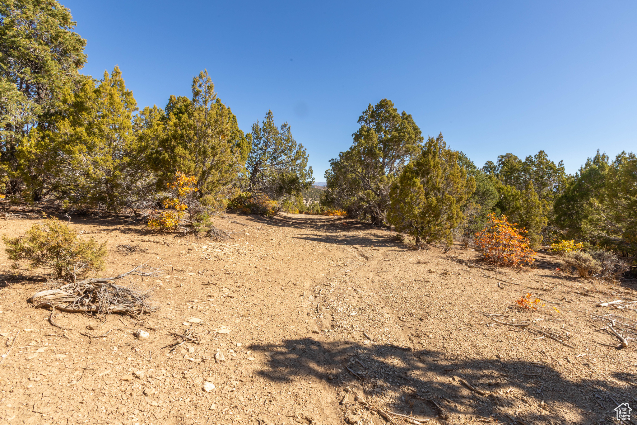 TEMPLE VIEW ESTATES SUBDIVISION - Land