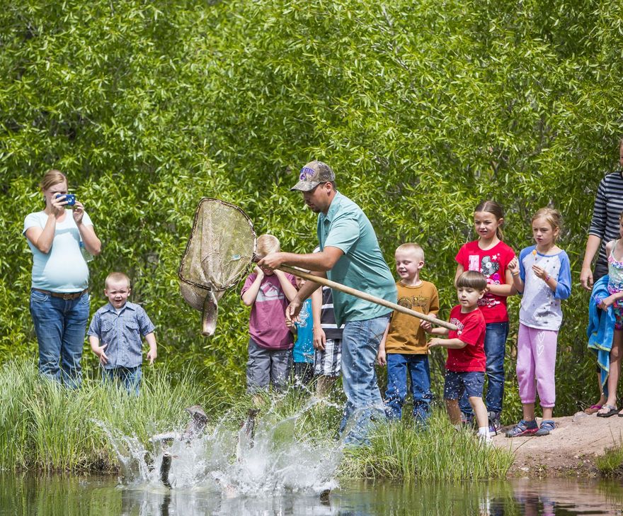 Owner is currently in the process of dividing the commercial property at Bear River Lodge into two parcels.  This parcel will be the approximate 4 acres of undeveloped property along 800+ feet of the Bear River.  It has no structures.  It has significant development potential.  It borders the Bear River and the national forest.  Access easement from the Mirror Lake Highway.  The other parcel that is listed separately contains the commercial operations including the store, grill, swimming pool, hot tubs, parking lot, and three studio cabins.  The 1, 2, 5, and 7-bedroom cabins are being sold individually.
