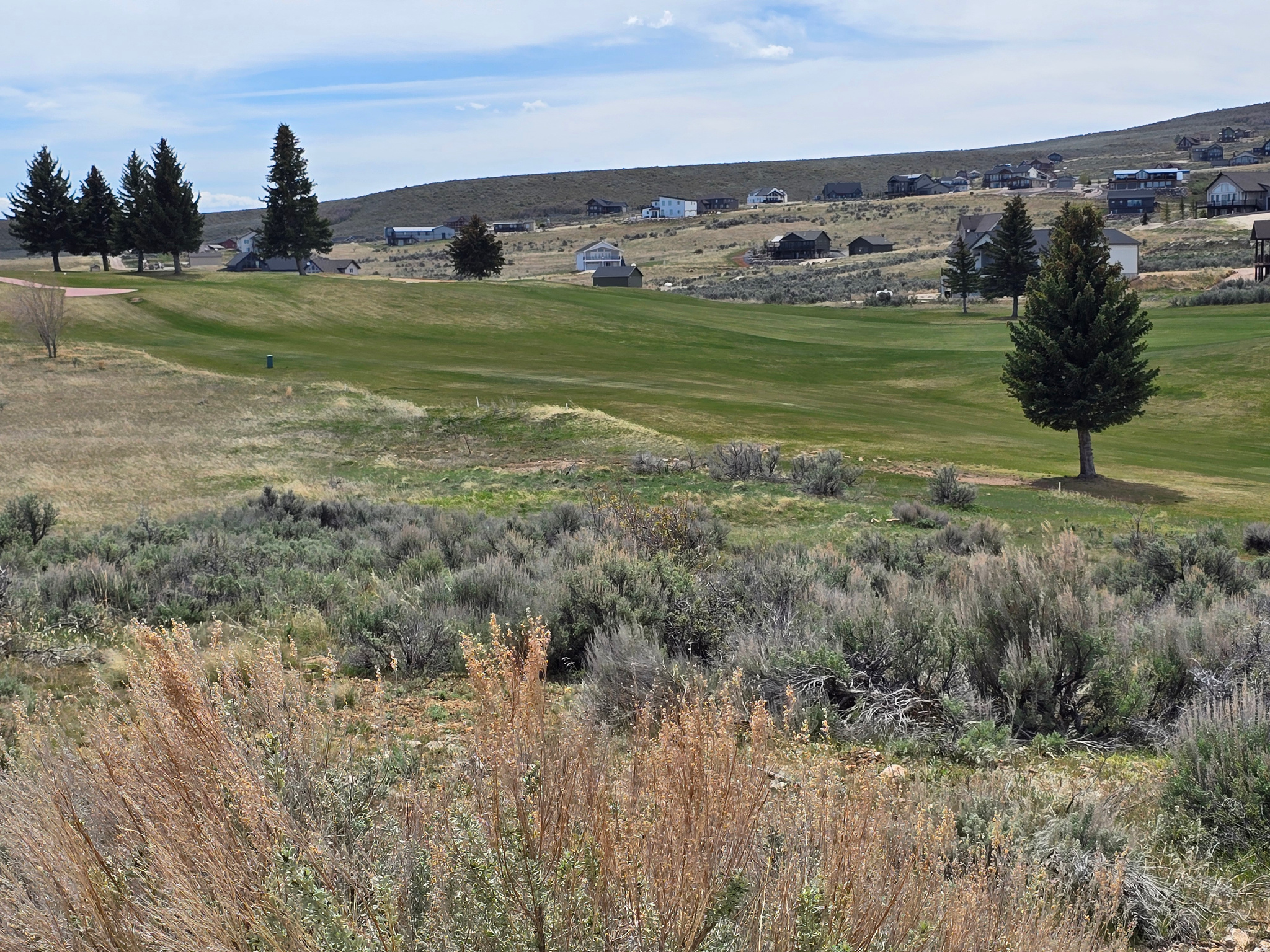 SWEETWATER GC3 - Land