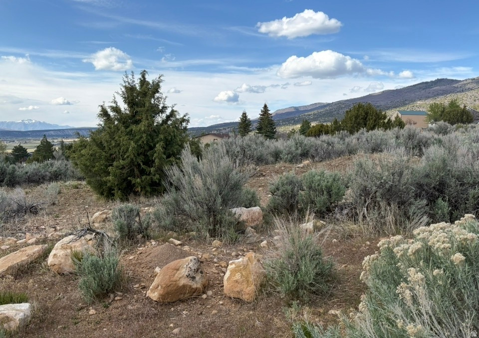 SKYLINE MOUNTAIN RES - Residential