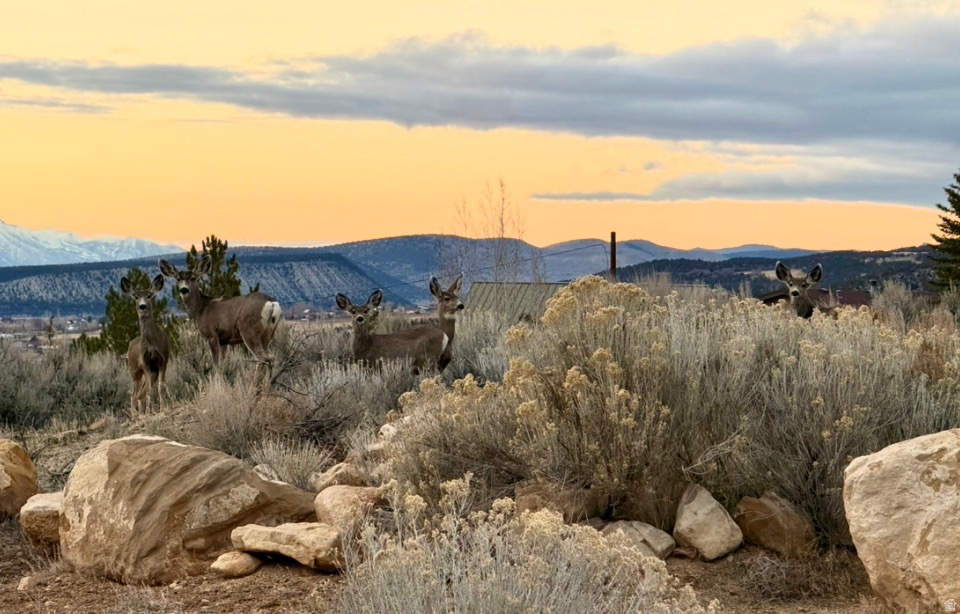 SKYLINE MOUNTAIN RES - Residential
