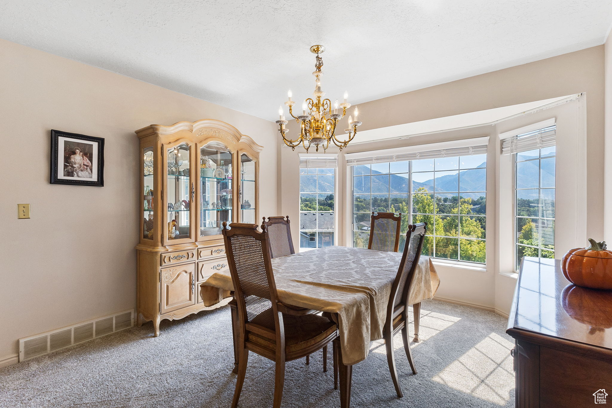 PLEASANT VALLEY ESTATES - Residential