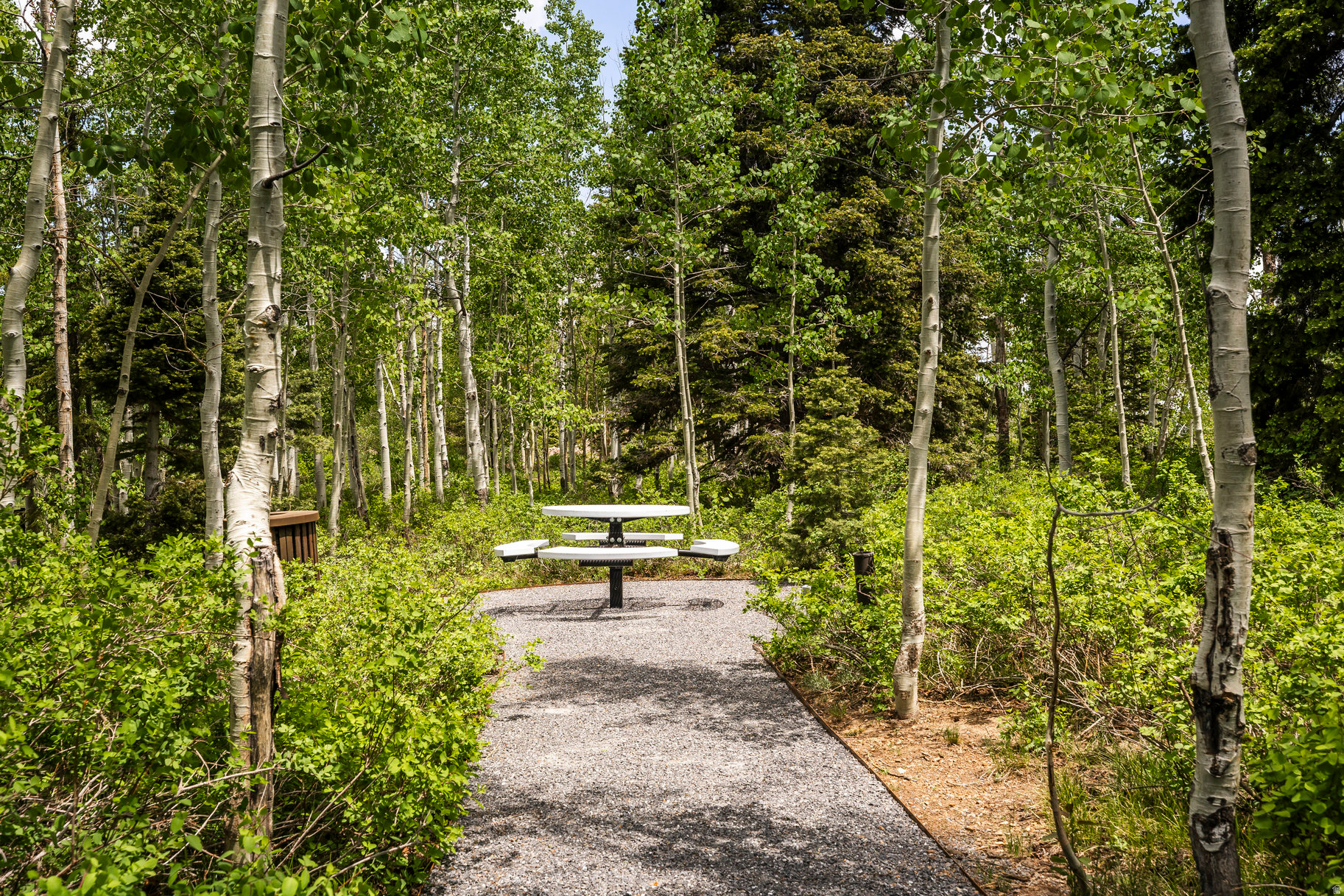 BALD EAGLE CLUB - Residential