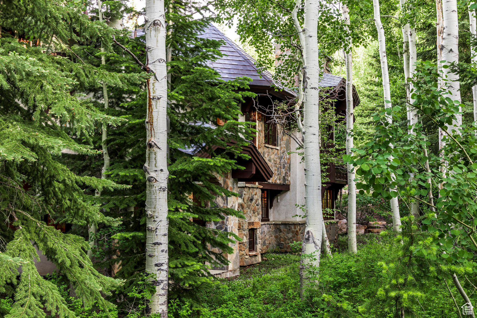 BALD EAGLE CLUB - Residential