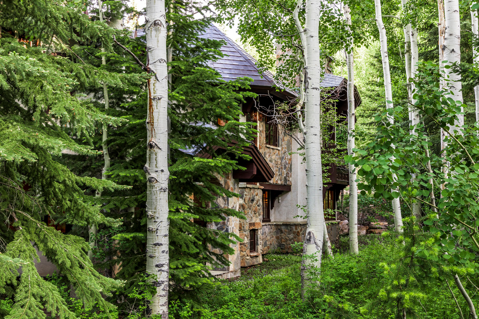 BALD EAGLE CLUB - Residential