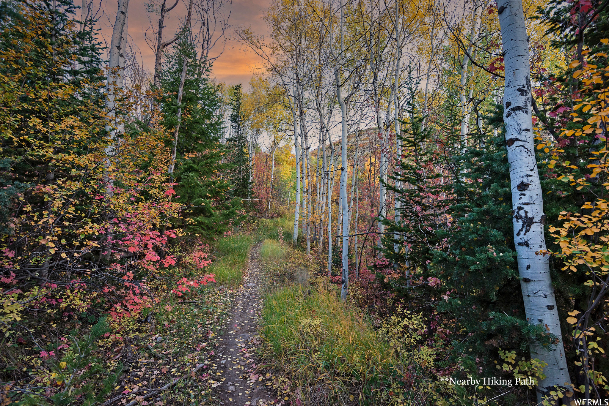 FOUNDERS PLACE - Residential