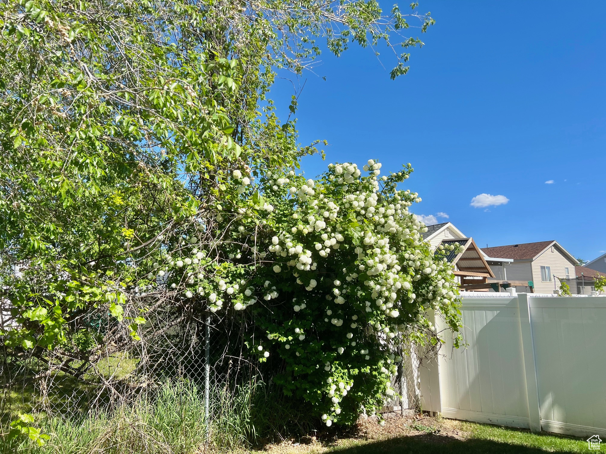 1774 W 400, West Point, Utah image 41